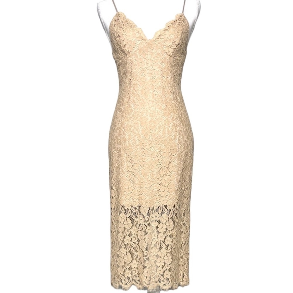 Bardot Sienna Lace Slip Dress